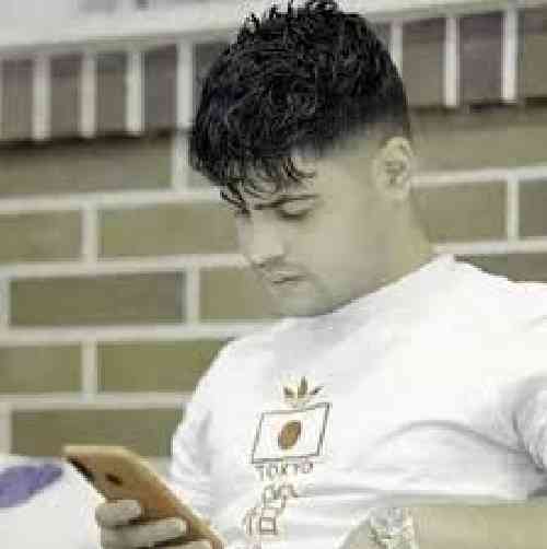 امیرحافظ رنجبر لیلی